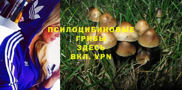 тгк Осинники